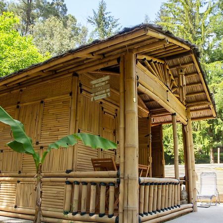 Suite Bambou Bien-Etre A Bali - Le Soleil Des Cevennes Saint-Jean-du-Gard Εξωτερικό φωτογραφία
