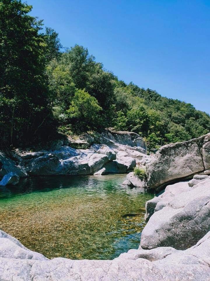 Suite Bambou Bien-Etre A Bali - Le Soleil Des Cevennes Saint-Jean-du-Gard Εξωτερικό φωτογραφία