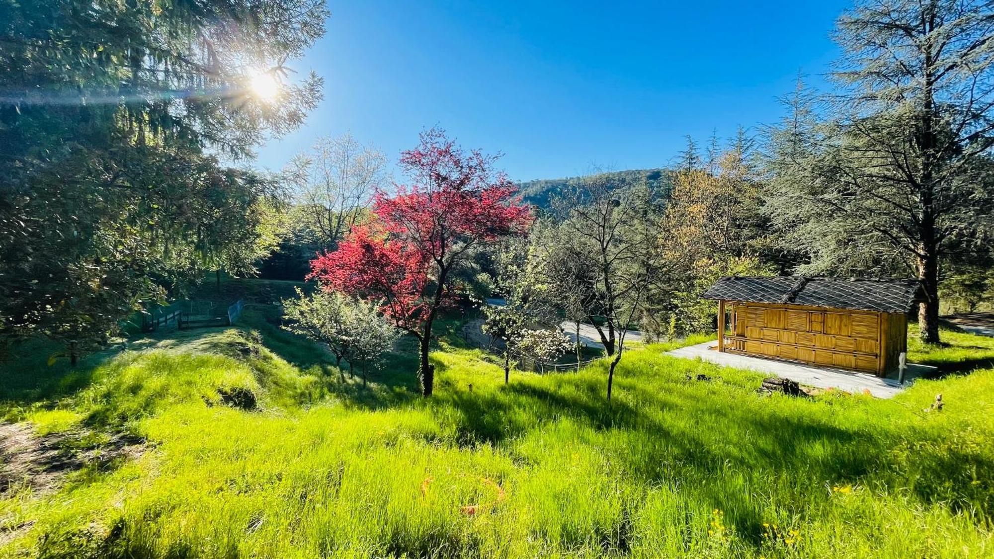Suite Bambou Bien-Etre A Bali - Le Soleil Des Cevennes Saint-Jean-du-Gard Εξωτερικό φωτογραφία