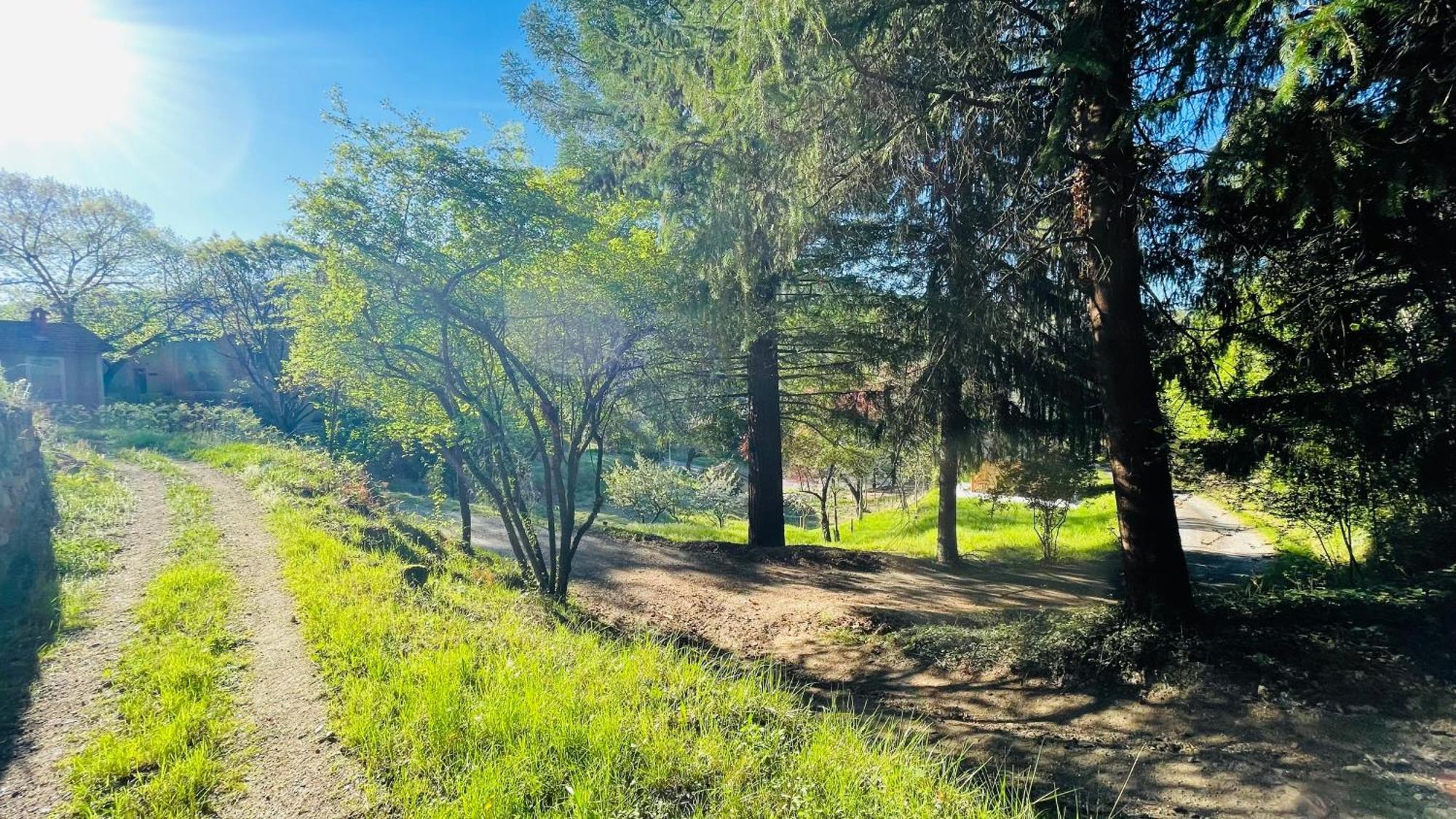 Suite Bambou Bien-Etre A Bali - Le Soleil Des Cevennes Saint-Jean-du-Gard Εξωτερικό φωτογραφία
